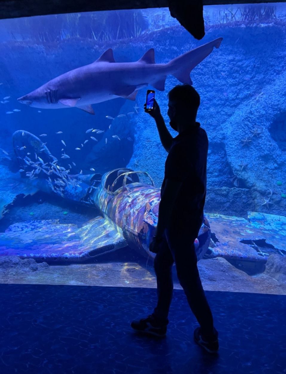 Աբու Դաբիի Ազգային ակվարիում