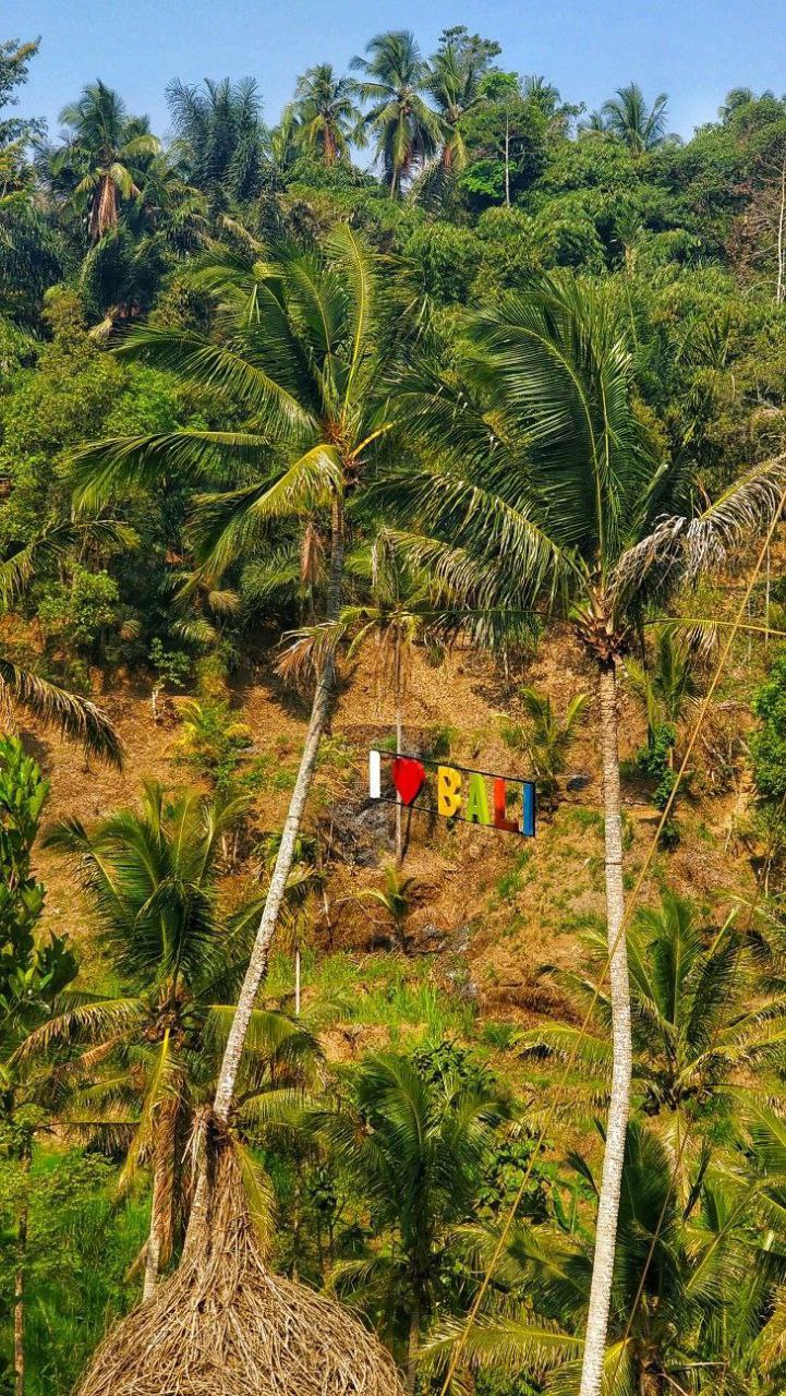 Բալիից ընդունված է նաև առողջ սնունդ բերել