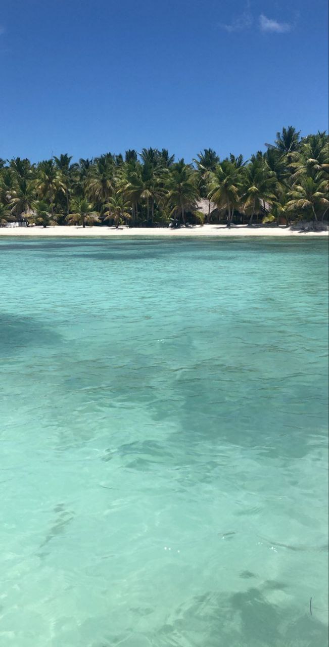 Flight Moscow Dominicansky