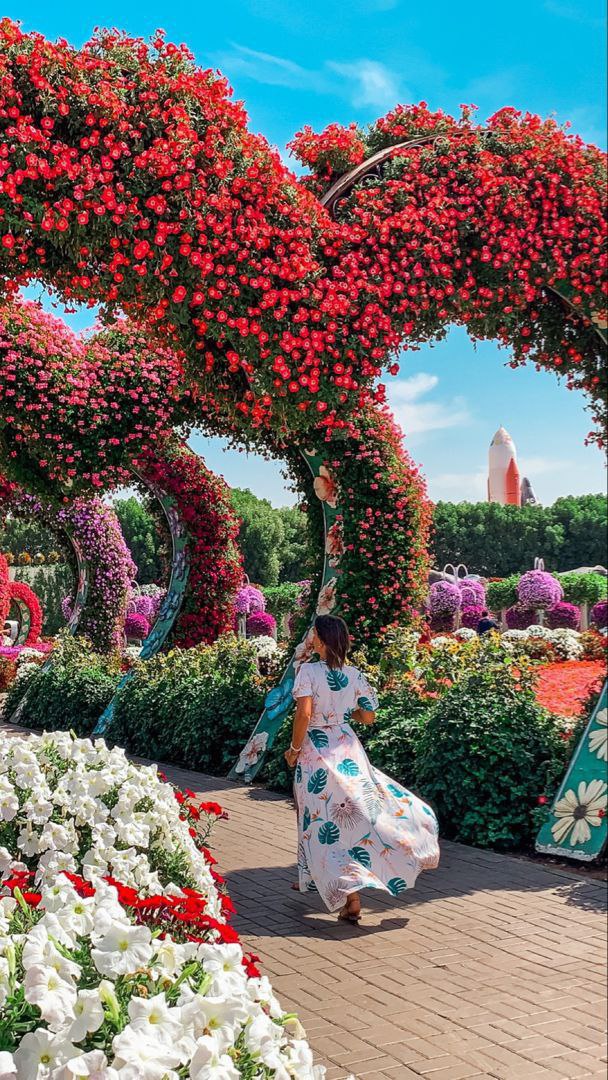 What is a miracle service in Dubai?