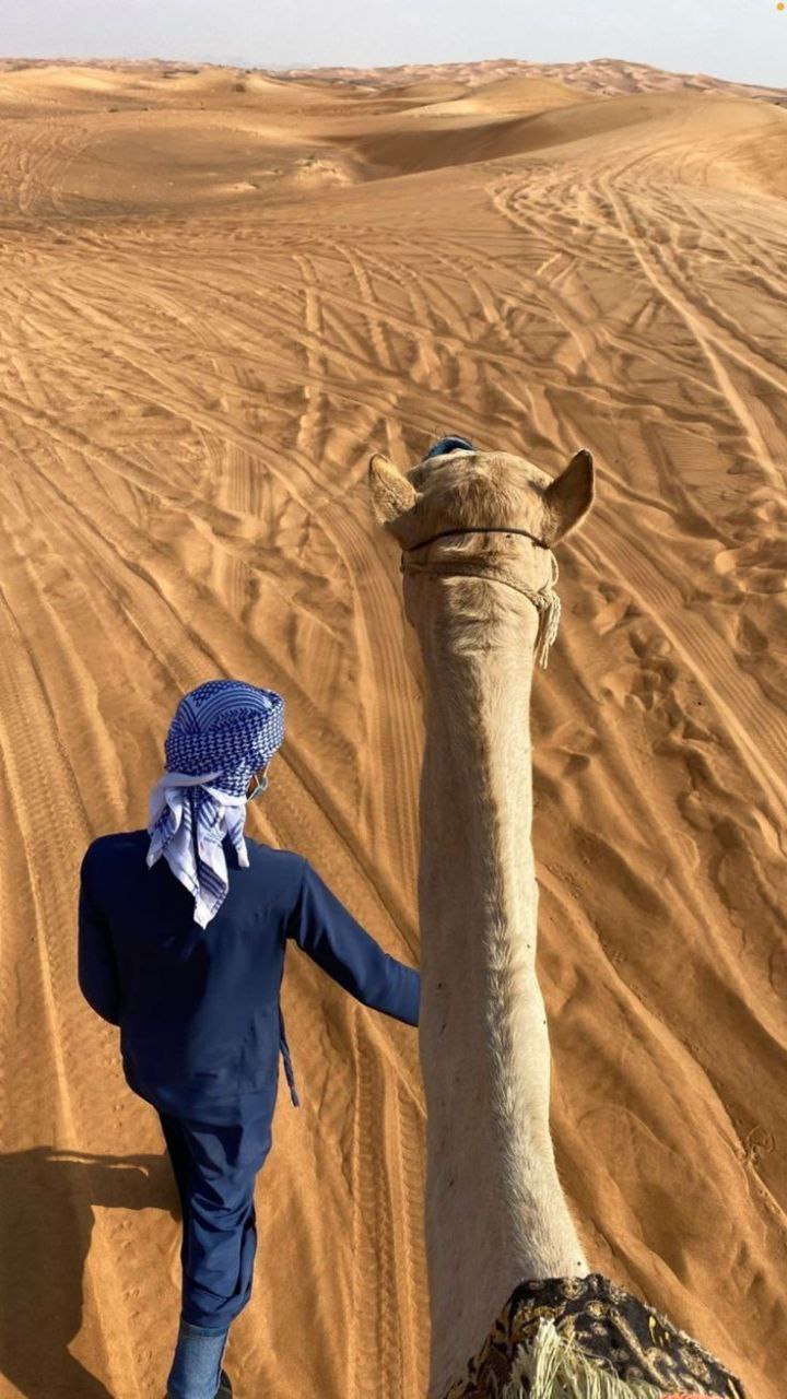 ԱՄԷ-ի ամենամեծ անապատը