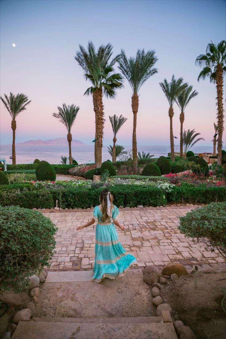 Hurghada or charm El Sheikh