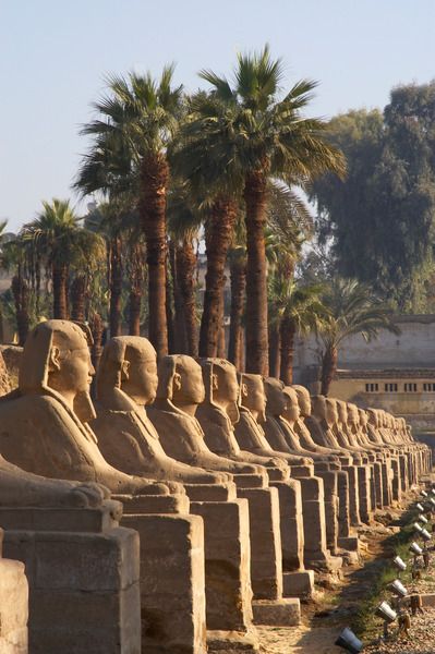 Nteresting facts about ancient Egypt