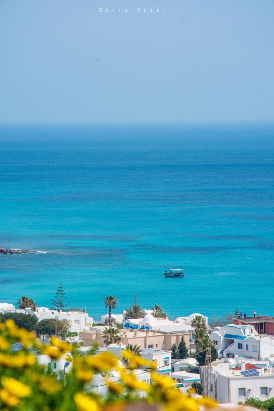 Tunisia without a visa