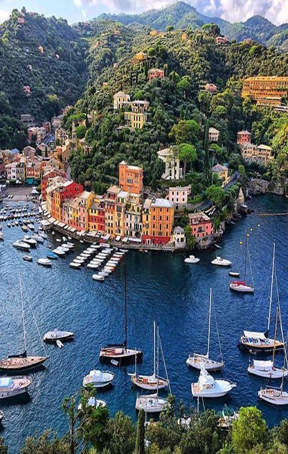 Մի քանի հետաքրքիր փաստ  Իտալիայի, Պորտոֆինոի  մասին