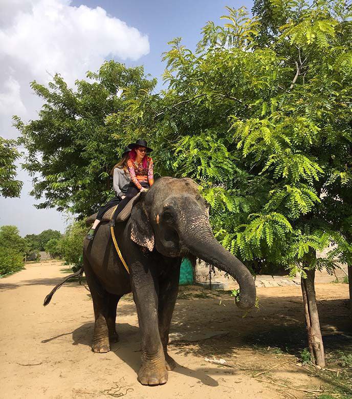 35 interesting facts about India