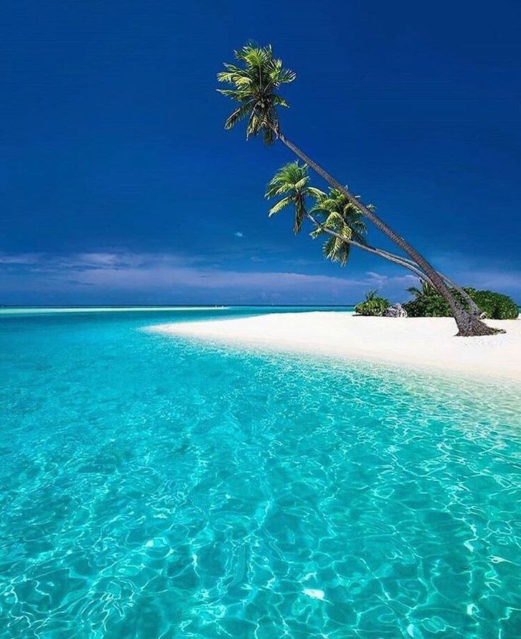 Ե՞րբ այցելել Մալդիվներ