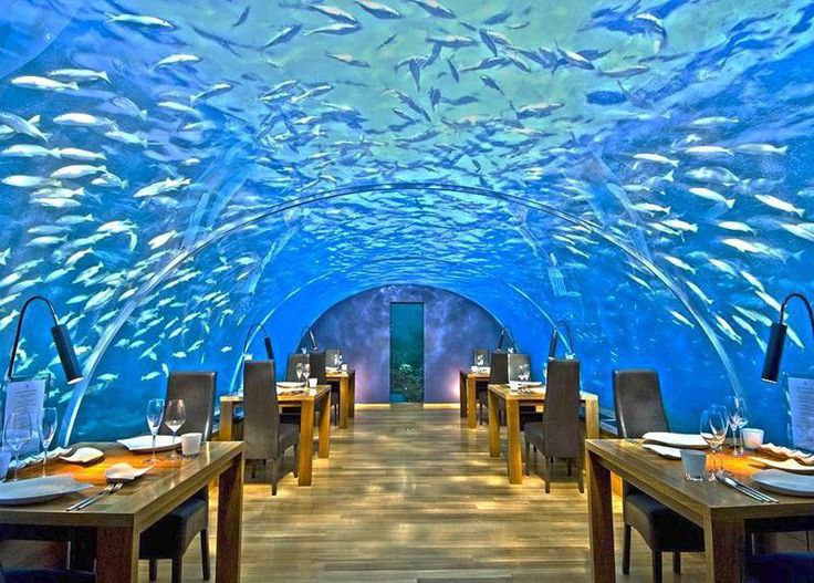 What to do in the Maldives