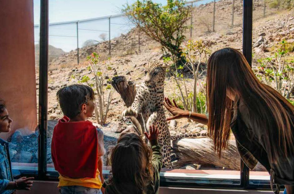 Ինչպե՞ս կարող է էմիրությունը զարմացնել մեծահասակներին