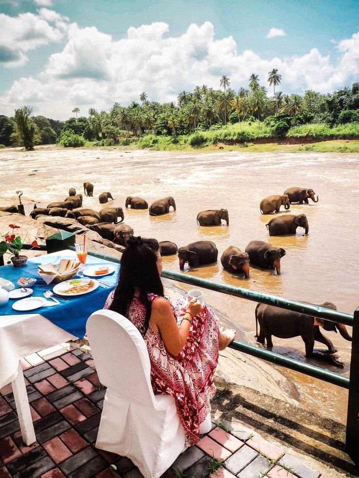 Հետաքրքիր  փաստեր Շրի Լանկայի մասին 