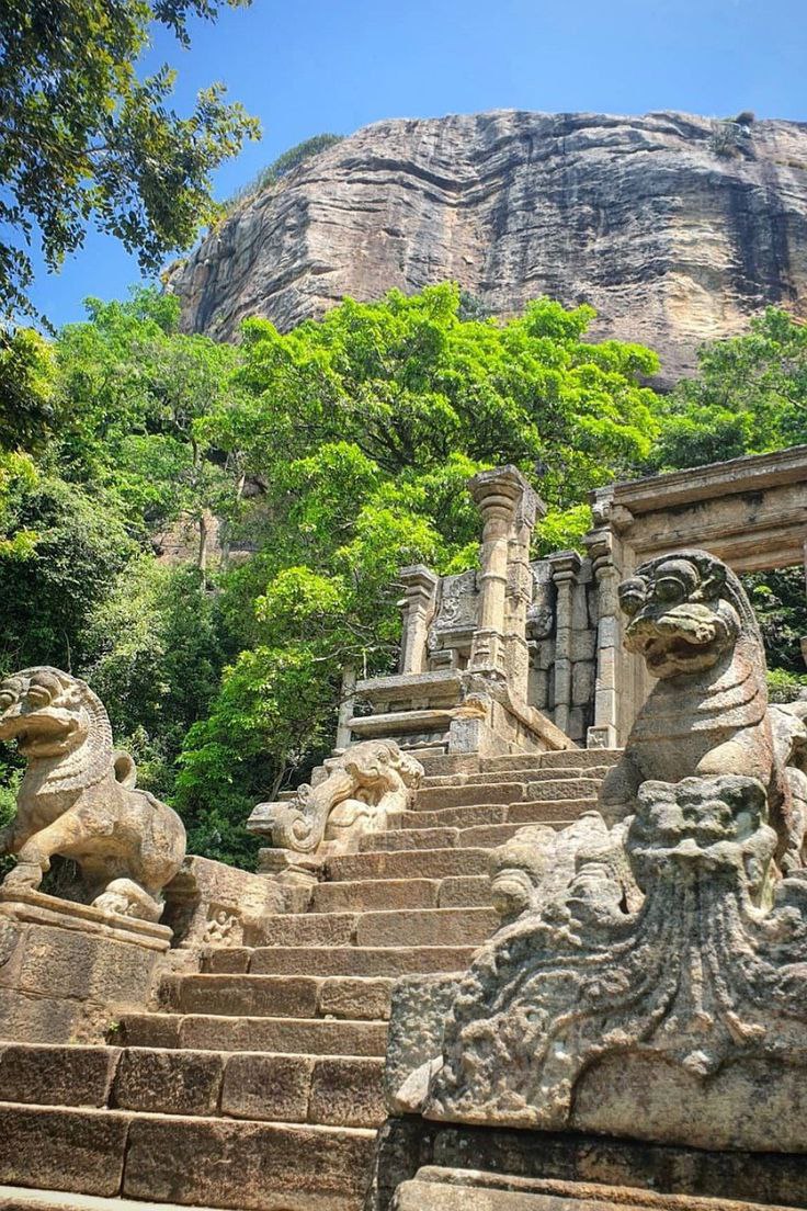 Where is Sri -Lanka?