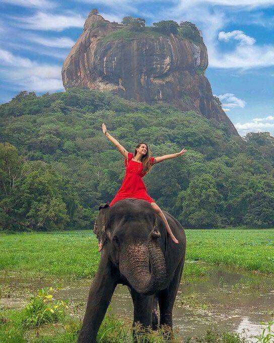 About a width -lunch