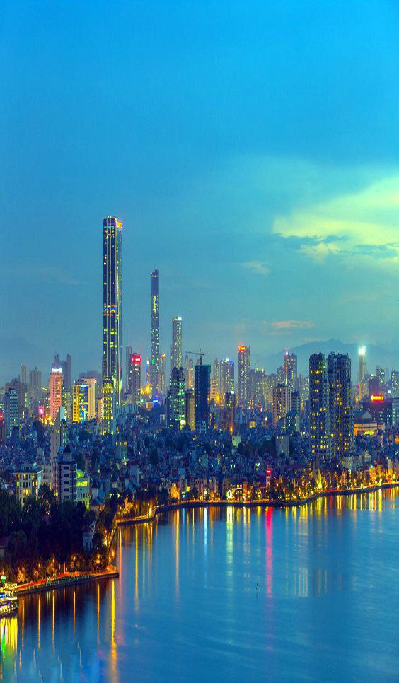 About the Vietnamese population