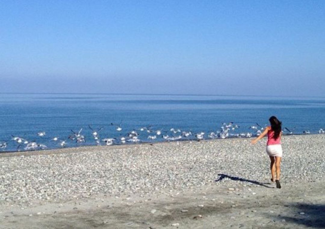 Information about Georgia