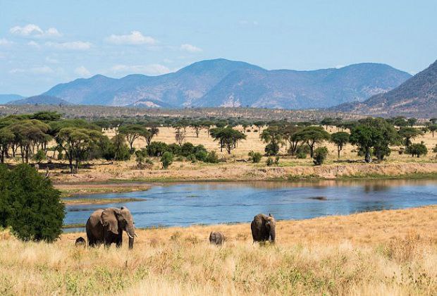  Տանզանիա,Ռուահա ազգային պարկ